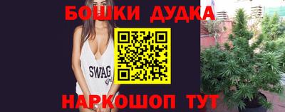 стаф Моздок