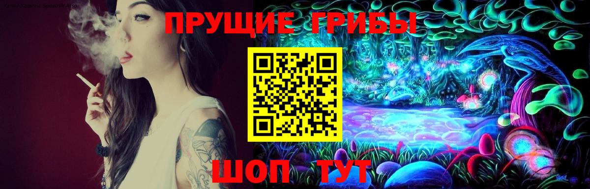 Галлюциногенные грибы GOLDEN TEACHER  купить  цена  Глазов  Вход с VPN 